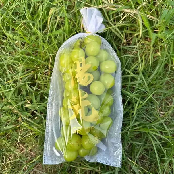 防雾葡萄袋